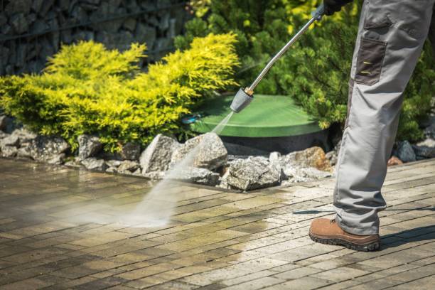 Best Roof Washing  in Clewiston, FL