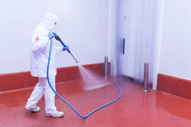 Reliable Clewiston, FL Pressure Washing Services Solutions